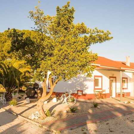 Casa Das Pipas #4 Pinhal Novo Kültér fotó